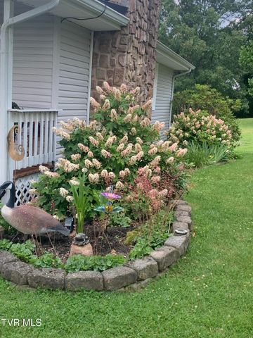 100 Mingo Trail, Greeneville, TN 37743