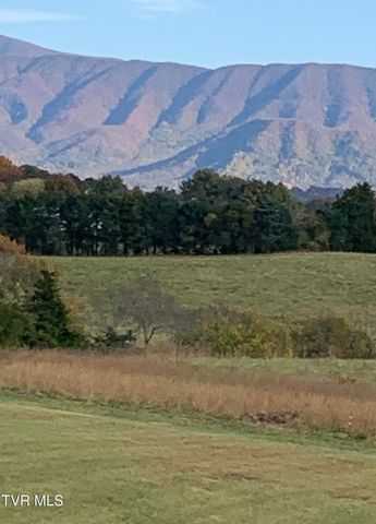 100 Mingo Trail, Greeneville, TN 37743