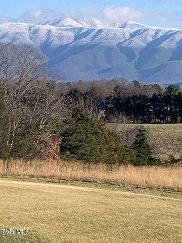 100 Mingo Trail, Greeneville, TN 37743