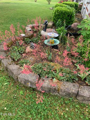 100 Mingo Trail, Greeneville, TN 37743