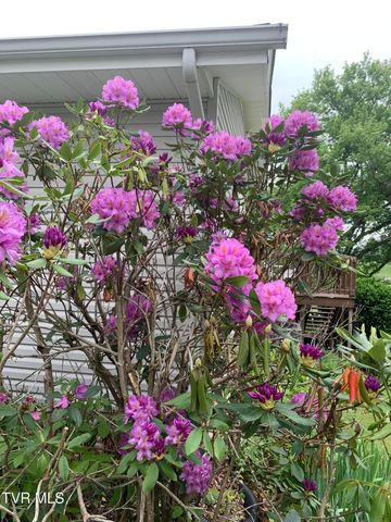 100 Mingo Trail, Greeneville, TN 37743