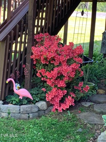 100 Mingo Trail, Greeneville, TN 37743