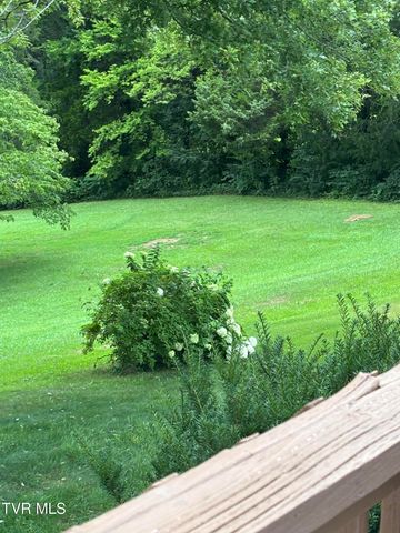 100 Mingo Trail, Greeneville, TN 37743