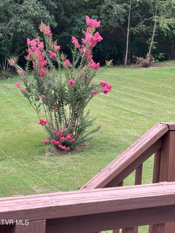 100 Mingo Trail, Greeneville, TN 37743