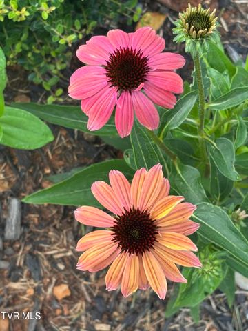 100 Mingo Trail, Greeneville, TN 37743