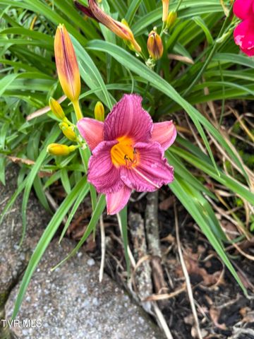 100 Mingo Trail, Greeneville, TN 37743