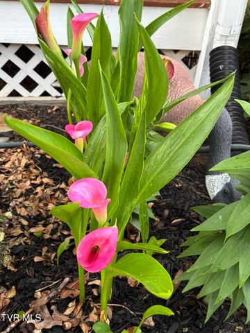 100 Mingo Trail, Greeneville, TN 37743