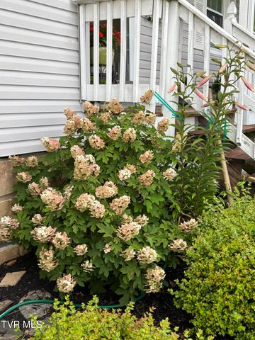 100 Mingo Trail, Greeneville, TN 37743