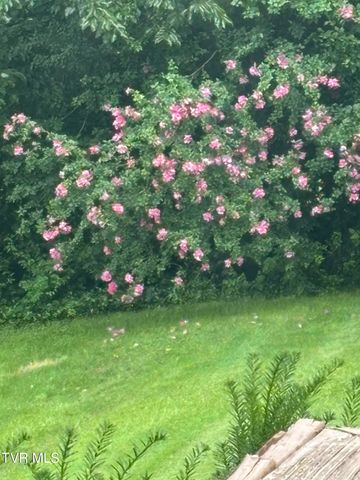 100 Mingo Trail, Greeneville, TN 37743