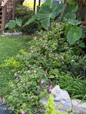 100 Mingo Trail, Greeneville, TN 37743