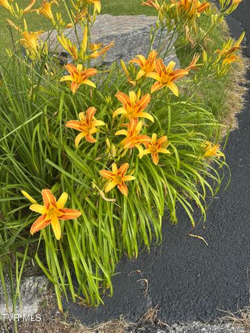 100 Mingo Trail, Greeneville, TN 37743