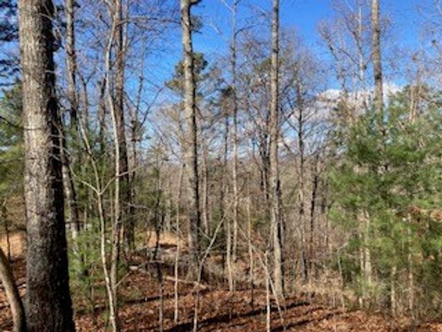 LT 1145 Monet Drive, Ellijay, GA 30540