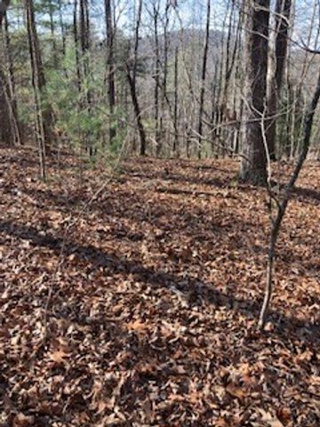 LT 1145 Monet Drive, Ellijay, GA 30540