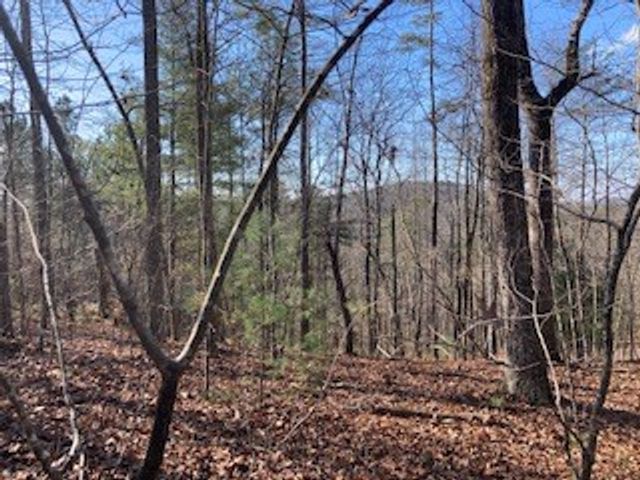 LT 1145 Monet Drive, Ellijay, GA 30540