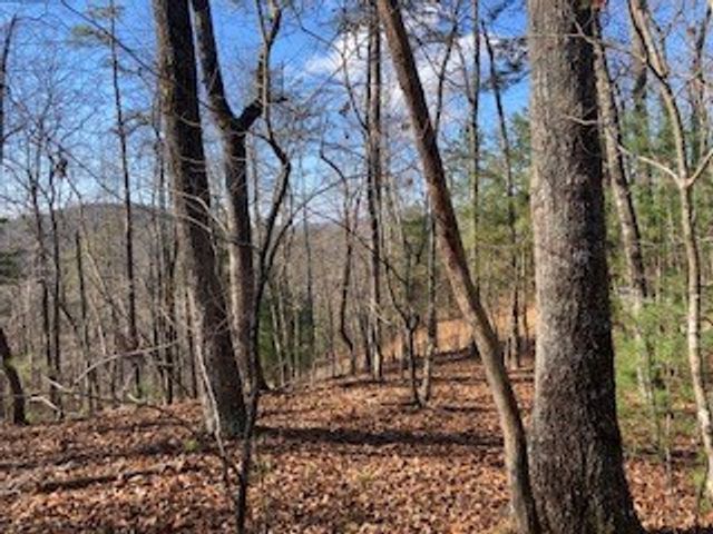 LT 1145 Monet Drive, Ellijay, GA 30540