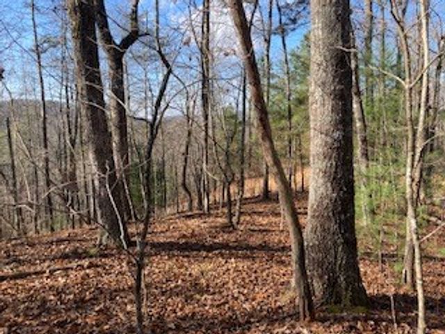 LT 1145 Monet Drive, Ellijay, GA 30540