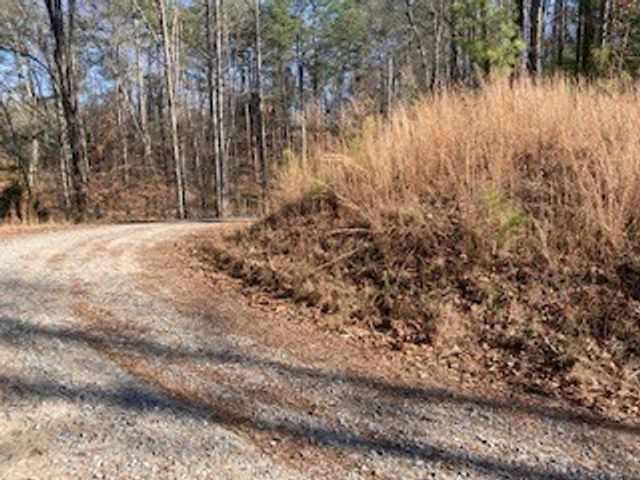 LT 1145 Monet Drive, Ellijay, GA 30540