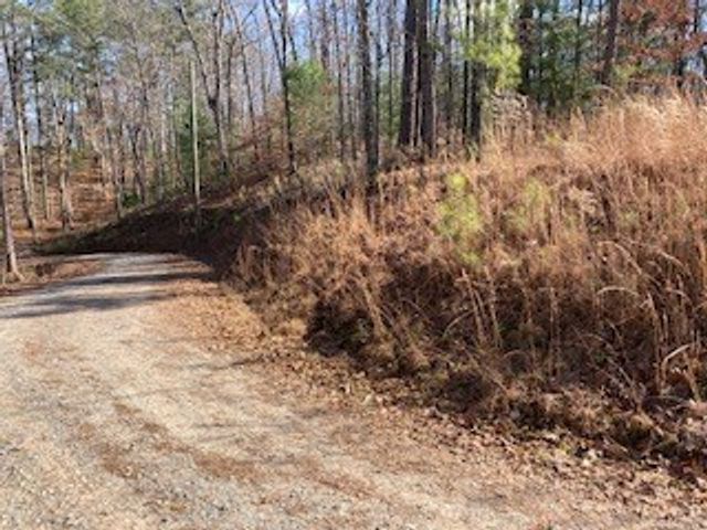 LT 1145 Monet Drive, Ellijay, GA 30540