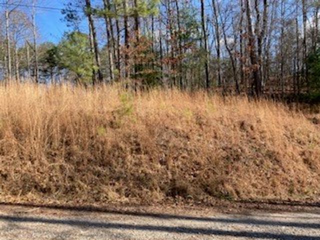 LT 1145 Monet Drive, Ellijay, GA 30540