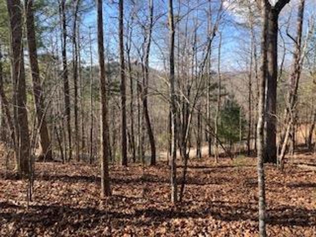 LT 1145 Monet Drive, Ellijay, GA 30540