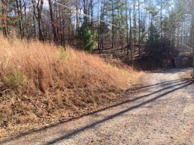 LT 1145 Monet Drive, Ellijay, GA 30540