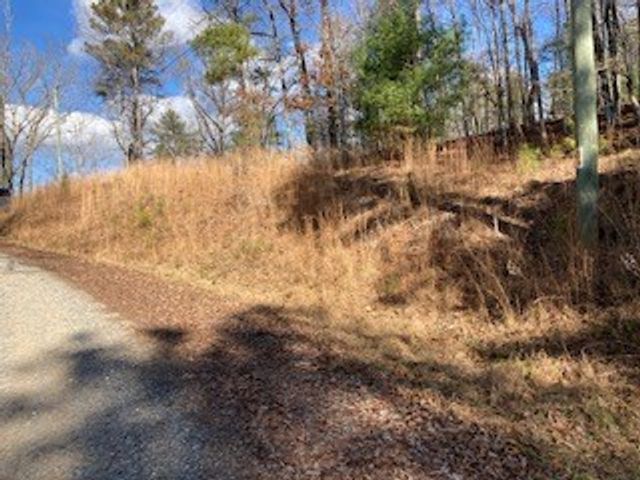 LT 1145 Monet Drive, Ellijay, GA 30540