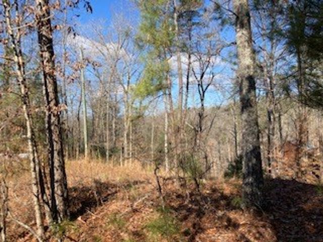 LT 1145 Monet Drive, Ellijay, GA 30540