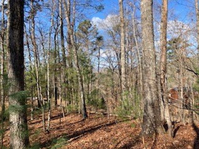 LT 1145 Monet Drive, Ellijay, GA 30540