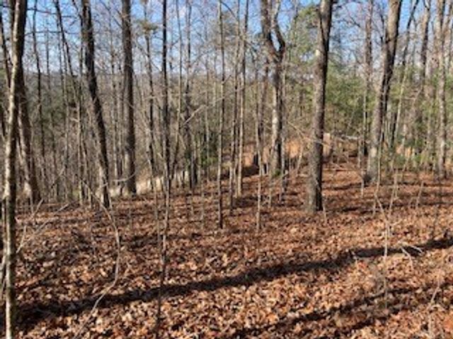 LT 1145 Monet Drive, Ellijay, GA 30540