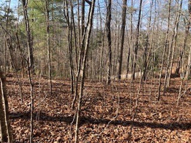 LT 1145 Monet Drive, Ellijay, GA 30540