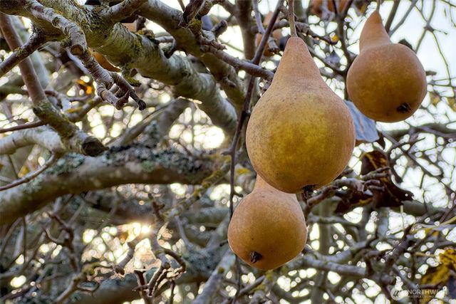 3222 Old Olympic Highway, Port Angeles, WA 98362