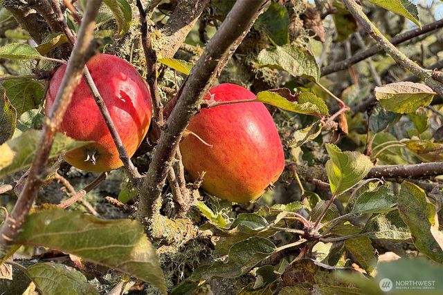 3222 Old Olympic Highway, Port Angeles, WA 98362