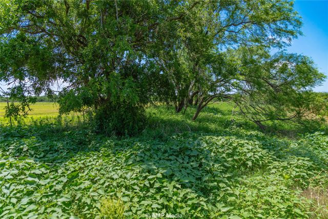 TBD CR 378, Merkel, TX 79536