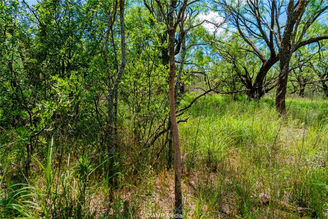 TBD CR 378, Merkel, TX 79536