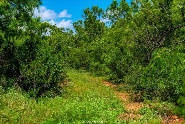 TBD CR 378, Merkel, TX 79536
