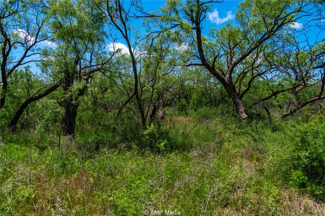 TBD CR 378, Merkel, TX 79536