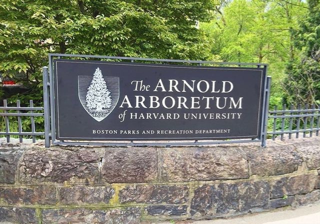 29 Goldsmith St 2, Boston, MA 02130