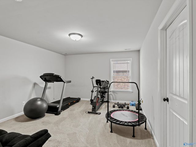 111 Heritage Way Drive, Toney, AL 35773