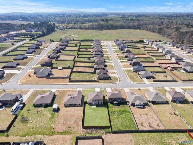 111 Heritage Way Drive, Toney, AL 35773