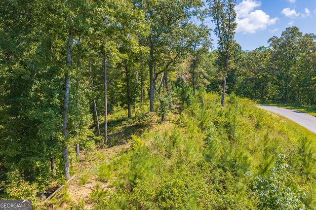LOT 31 Freestone Street, Talking Rock, GA 30175