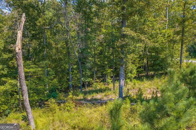 LOT 31 Freestone Street, Talking Rock, GA 30175