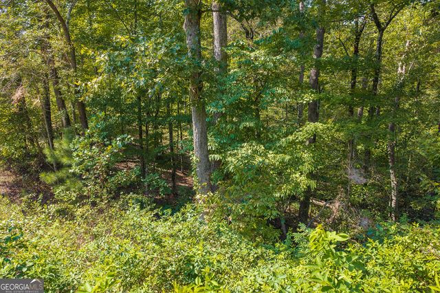 LOT 31 Freestone Street, Talking Rock, GA 30175