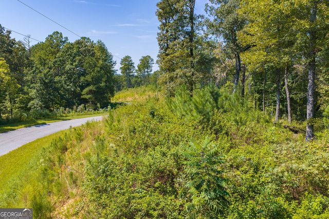 LOT 31 Freestone Street, Talking Rock, GA 30175
