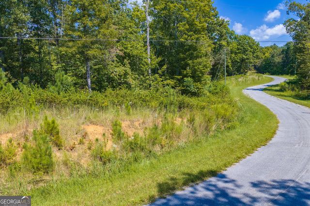 LOT 31 Freestone Street, Talking Rock, GA 30175