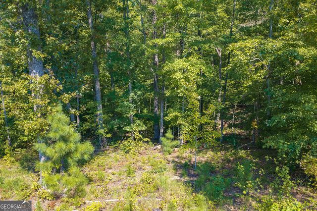 LOT 31 Freestone Street, Talking Rock, GA 30175