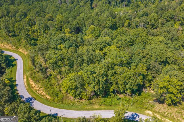 LOT 31 Freestone Street, Talking Rock, GA 30175