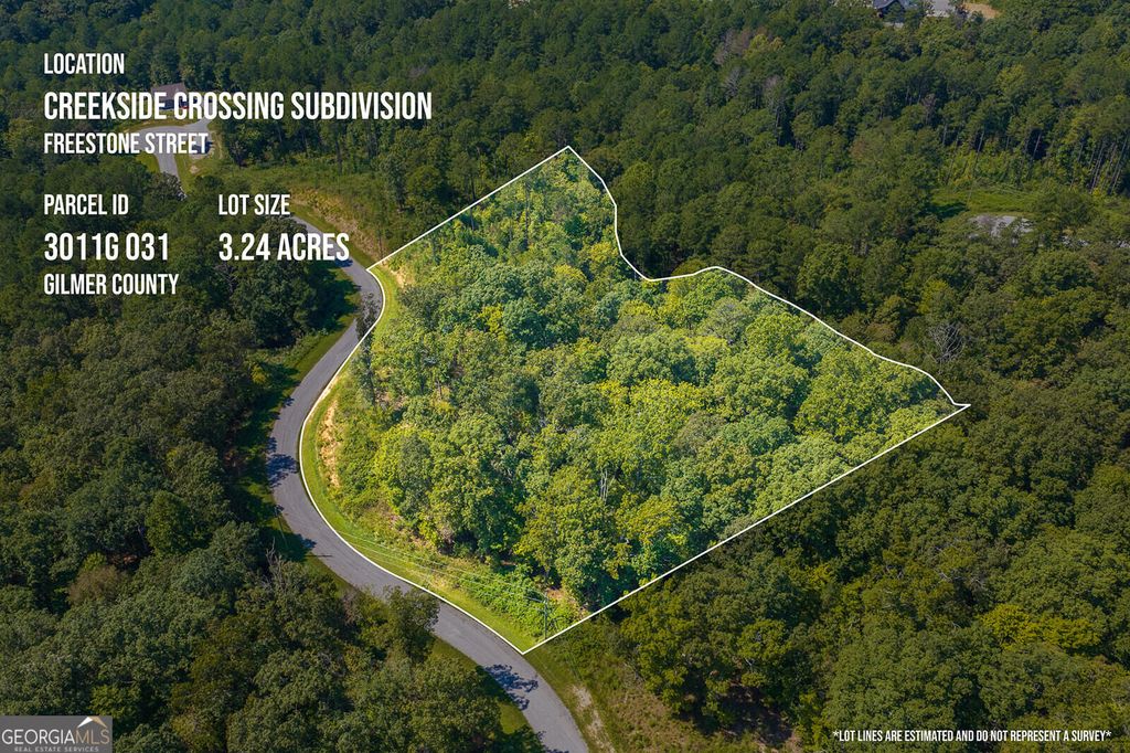 LOT 31 Freestone Street, Talking Rock, GA 30175