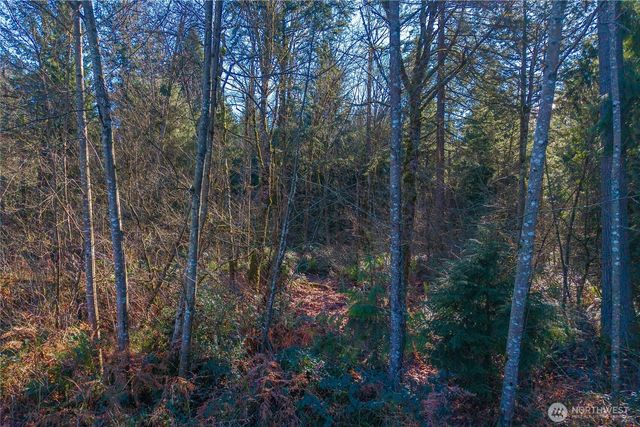 67 XX 258th Avenue NE, Redmond, WA 98053