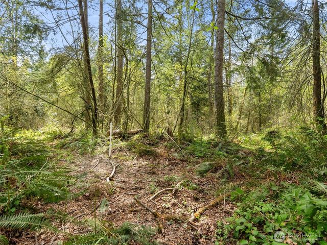 67 XX 258th Avenue NE, Redmond, WA 98053