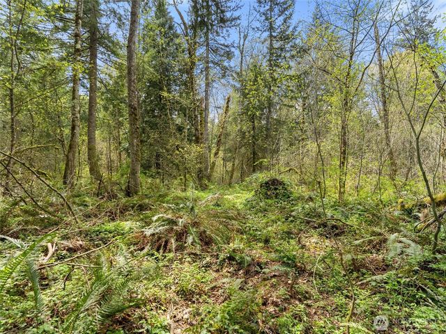 67 XX 258th Avenue NE, Redmond, WA 98053